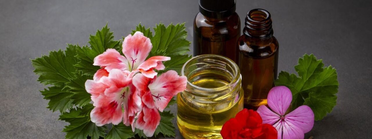 Geranium Essential Oil: Exploring its Many Benefits for Health and Wellness