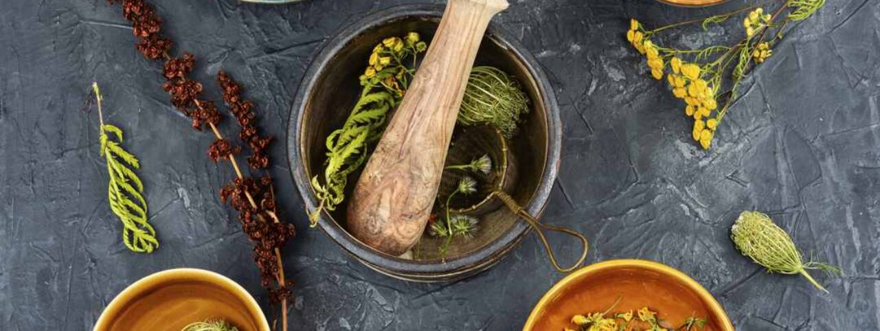Unlock the Benefits of Herbal Extracts for Better Health