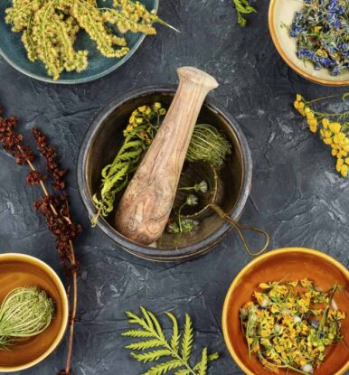 Unlock the Benefits of Herbal Extracts for Better Health