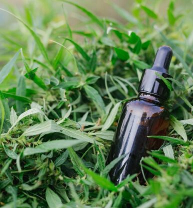 Neem Oil for Dogs: Benefits, Safety Tips & How to Apply