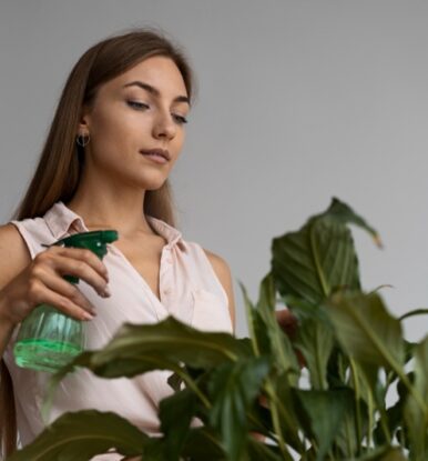 Neem Oil For Lace Bugs: Organic Pest Control For Your Garden