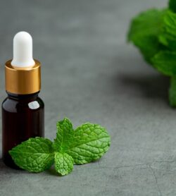 Oregano Oil for Sore Throat Relief: Formulation Insights